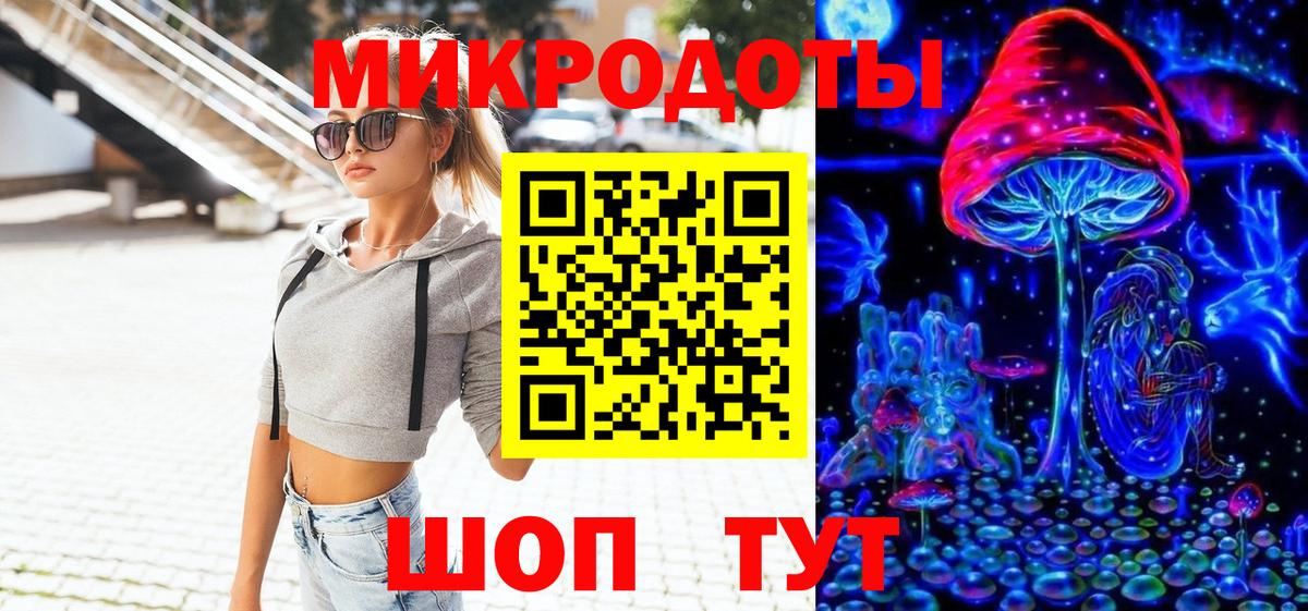 Псилоцибиновые грибы Psilocybine cubensis Северск