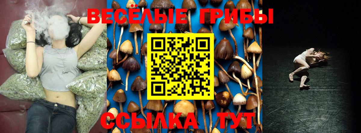 Северск  Псилоцибиновые грибы Psilocybe  Вход с VPN  Псилоцибиновые грибы прущие грибы 